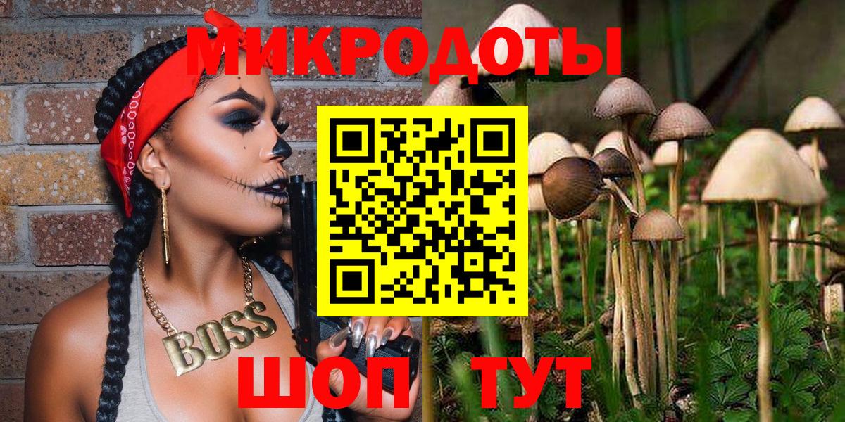 Галлюциногенные грибы мухоморы  Вход с VPN  купить закладку  Псилоцибиновые грибы Magic Shrooms  Сегежа 