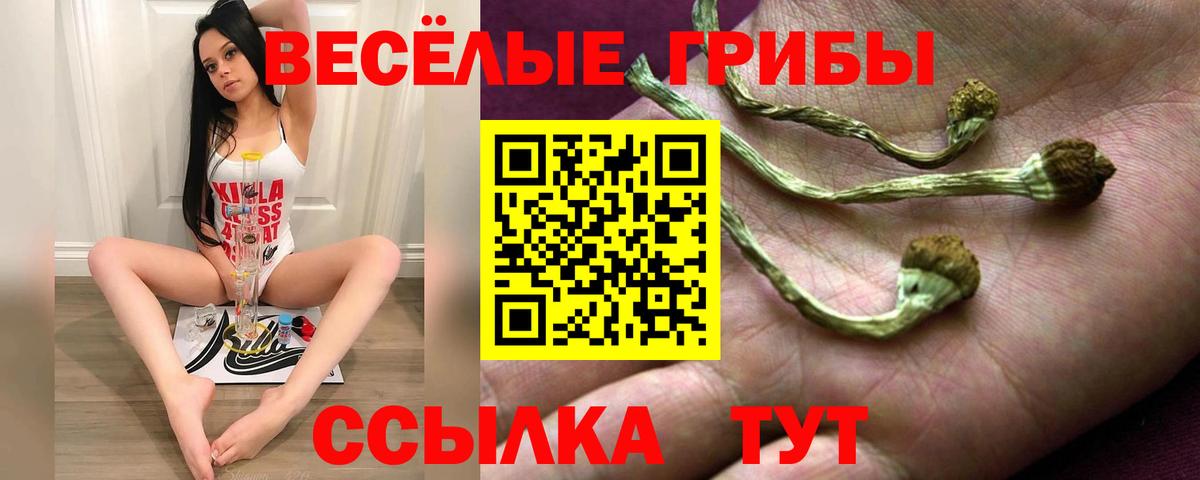 Галлюциногенные грибы MAGIC MUSHROOMS Сегежа